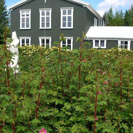 Asaskoli Appartement Árnes Buitenkant foto