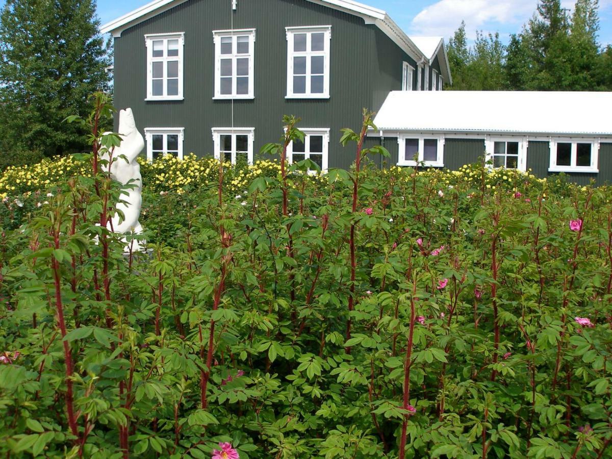 Asaskoli Appartement Árnes Buitenkant foto